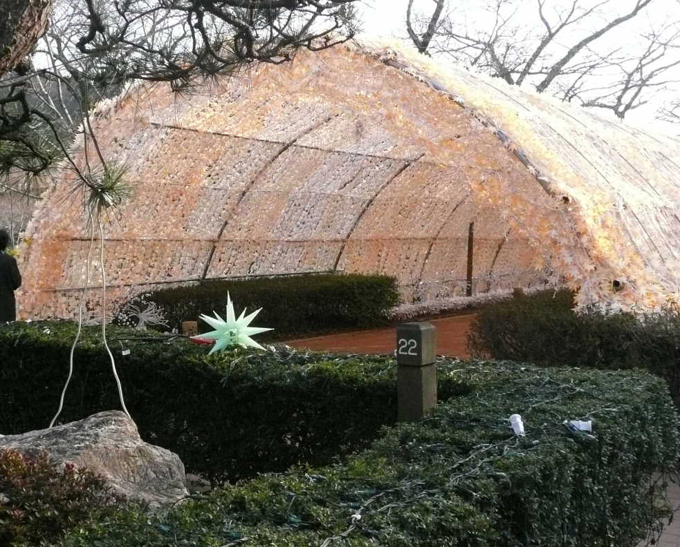 ｲﾙﾐﾈｰｼｮﾝﾛｰﾄﾞ入り口