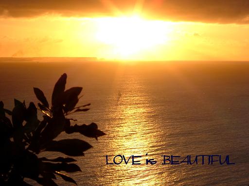 LOVE is BEAUTIFFUL