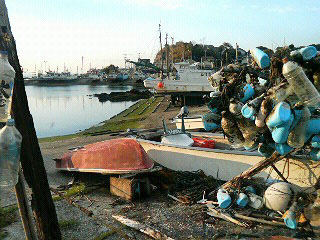 200803311710000-2.jpg