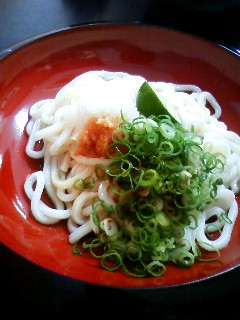 生醤油うどん