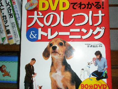 P8281093ＤＶＤつき犬のトレーニング.jpg