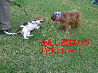 P7030391あたし達ははぎハグ.jpg