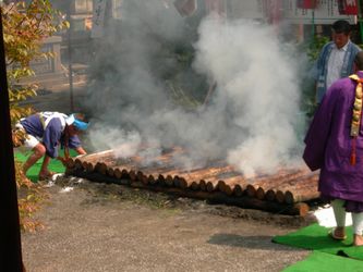 DSCN6595.jpg