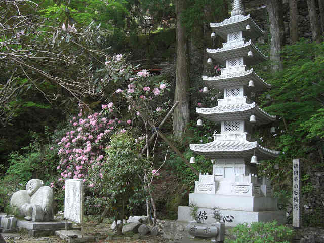 200805062tokuenji.jpg