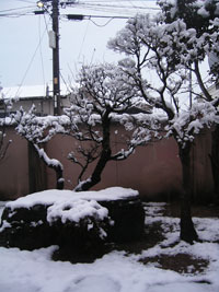 2008/1/21yuki