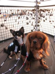 タイタニック♪