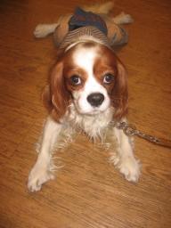 まろくんのあんよに注目♪