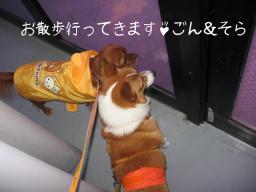 先生についてきなさぁい＾-＾