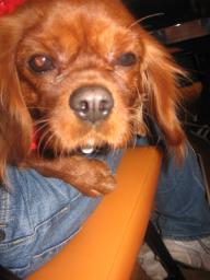 ミルクがないなんて・・・