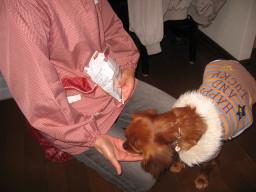 ばぁばに♪夜ご飯食べさせてもらってるの♪