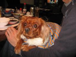 謎パパさんの腕で　みんなのお食事を眺めてます♪