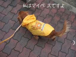 今日もおばぁ～ちゃんなそら？