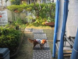 お散歩まだ～ぁ？