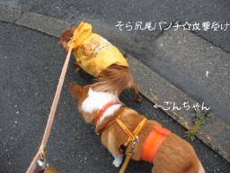 仲良くお散歩♪1.2.1.2