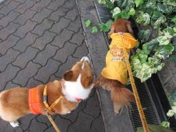 クンクンしてます～