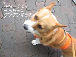 そらが動かないですよ～先生（おかん）っ