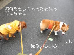 やっと動きました～1.2.1.2