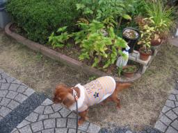 ♪お庭でもお散歩したよ♪