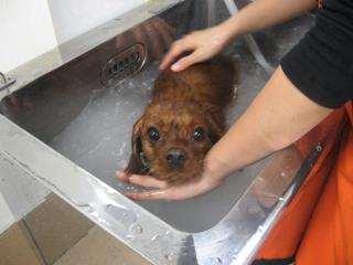 マイクロバブル温浴中なそら♪♪