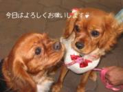 そらです♪サクラちゃんよろしくねっ♪