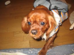 おかん～ただいまっ♪