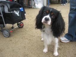 タスケくん♪はじめまして