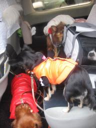 たすけくんは？