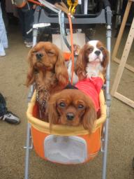 マロくんはじめまして♪♪