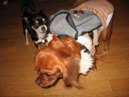 ねぇねぇ～おかえり～♪