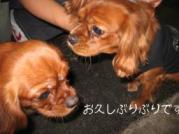 １年ぶりですねっ♪