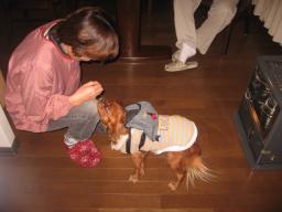 ばぁば～♪お久しぶりです♪