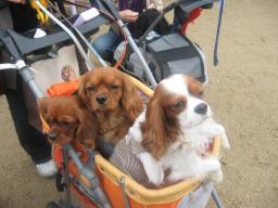 まったり～モ－ド中♪