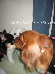 久しぶりねっ♪かいくん