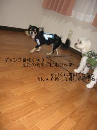 気をつけないと・・かいくん