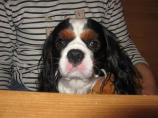 お久しぶり♪♪