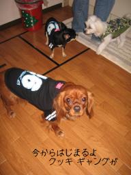 クッキ－意地悪よね