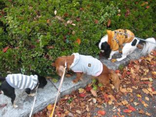 みんな思い思いにクンクンタイム♪