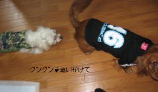 そらのお尻が気になる～かいくん