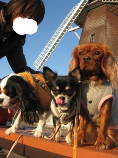 みんなで（笑）