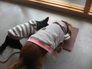 待ってました♪♪ミルクタイム♪