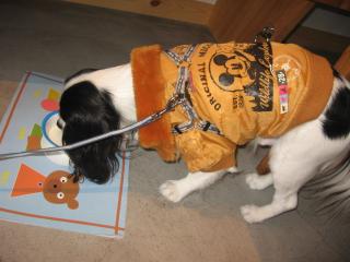 フィズくんも♪ミルクタイムです♪♪