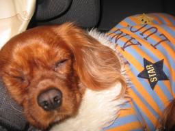 帰えりの車中でのそら