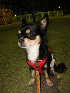 あたちも一緒よん♪