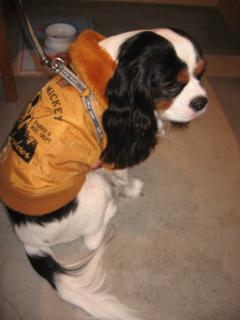 フィズくんのおちり♪可愛い～♪♪