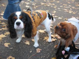 仲良く♪あっ・そらカイカイ中