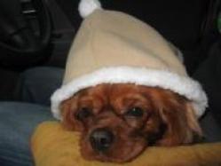 はじめてのもぉもぉさん♪くしゃかったねっ