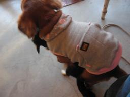 そらったら　またいつもの腰フリダンス♪