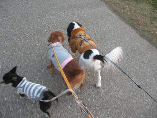 フィズくん～あのねっby