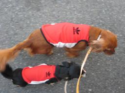 行ってきます～♪♪