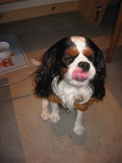 おいちかった～♪